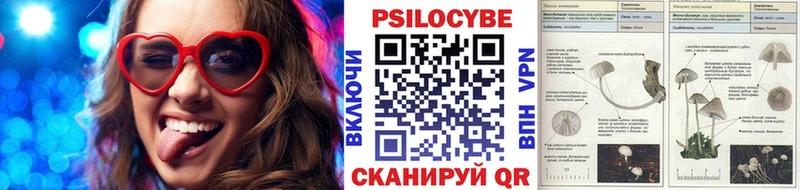 Галлюциногенные грибы Cubensis  что такое   Майский 